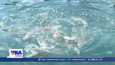 Khánh Hòa phát huy thế mạnh buôi biển công nghiệp