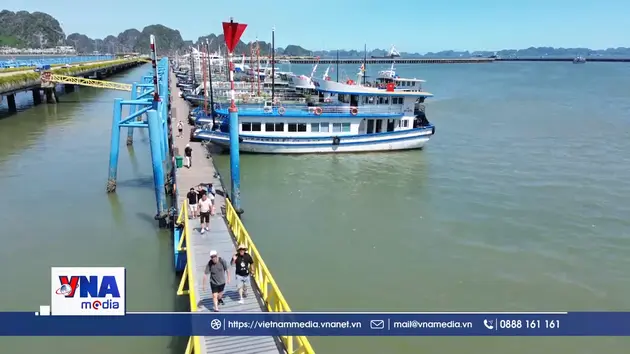 Cần có quy hoạch phát triển đội tàu trên vịnh Hạ Long