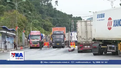 Lạng Sơn: Phương tiện thông quan xuất nhập khẩu tăng cao