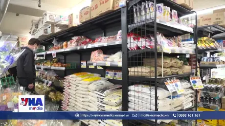 Giá gạo Nhật Bản tăng gấp đôi so với năm trước