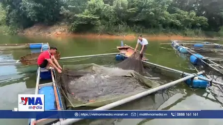 Khơi dậy tiềm năng phát triển ở xã Đại hội điểm tỉnh Lào Cai