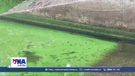 Mỹ nới lỏng quy định bảo vệ môi trường