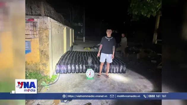 Biên phòng Quảng Ninh bắt vụ vận chuyển 384 bình khí cười 
