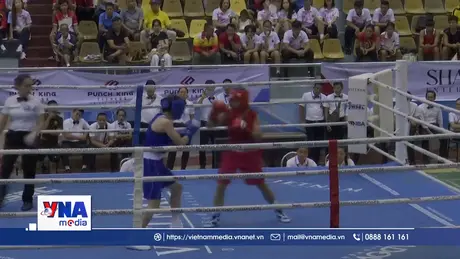 Khai mạc giải Boxing trẻ toàn quốc năm 2025