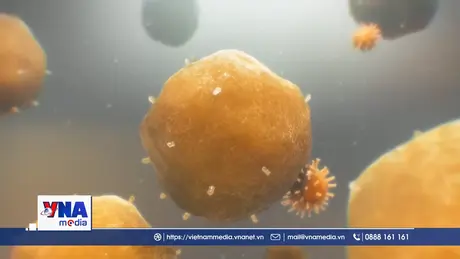 Trung Quốc công bố liệu pháp chữa ung thư giá rẻ