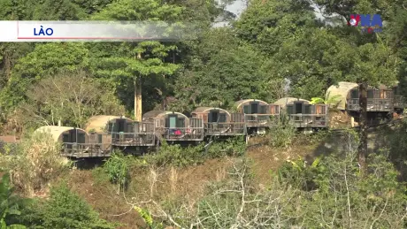 Việt Nam toàn cầu ngày 19/7/2025