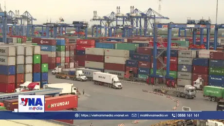 Hợp nhất 4 cảng vụ hàng hải từ 1/8