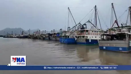 Trung Quốc triển khai nhiều biện pháp ứng phó bão Wipha