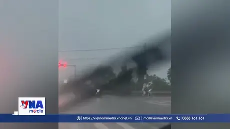 Bão số 3 gây mưa to đến rất to kèm gió mạnh