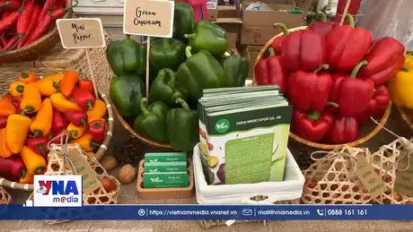 Lễ hội trái cây – rau củ Việt Nam 2025 tại Singapore