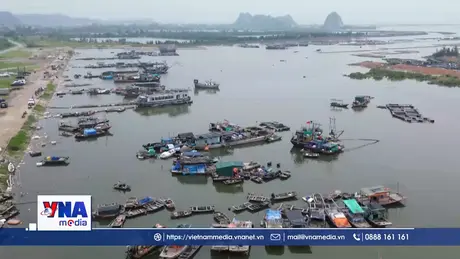 Người dân Quảng Ninh chủ động phòng, chống bão số 3 Wipha
