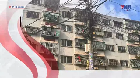 S Việt Nam ngày 20/7/2025