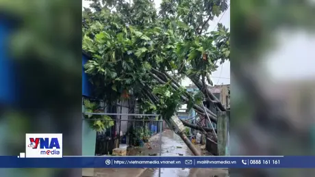 Giông lốc dữ dội khiến hàng chục ngàn hộ dân ở Đồng Nai mất điện