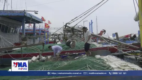 Ninh Bình kêu gọi tàu thuyền khẩn trương vào nơi tránh trú bão