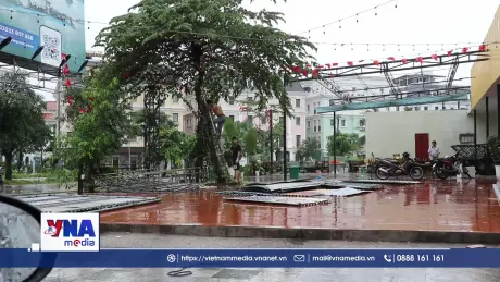 Quảng Ninh phòng chống bão số 3 Wipha