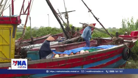 Khẩn trương giúp ngư dân Ninh Bình phòng, chống bão số 3