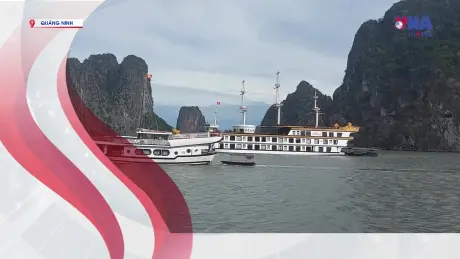 S Việt Nam ngày 21/7/2025