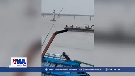 Kịp thời cứu 9 ngư dân do tàu chìm