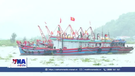 Bộ đội biên phòng Nghệ An hỗ trợ giúp dân chống bão số 3