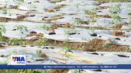 Cần trợ lực cho sản xuất nông nghiệp tuần hoàn