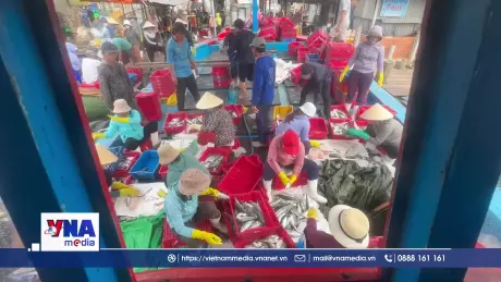 Bất cập cảng cá tại cửa biển Sa Cần, Quảng Ngãi