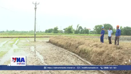 Ninh Bình khẩn trương tiêu úng, bảo vệ sản xuất nông nghiệp