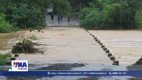 Lũ trên sông Bùi, tại Phú Thọ, vượt cấp báo động II