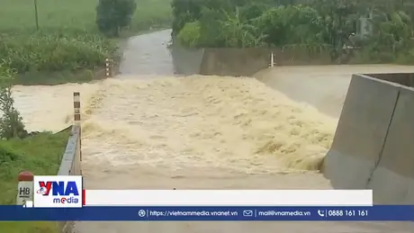 Thanh Hóa kịp thời xử lý các sự cố công trình đê điều, thuỷ lợi