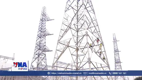 Tinh thần mạch 3 trên công trường 500kV Lào Cai - Vĩnh Yên