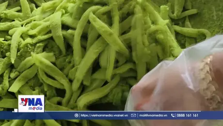 Phát triển OCOP hướng tới nâng tầm sản phẩm nông thôn