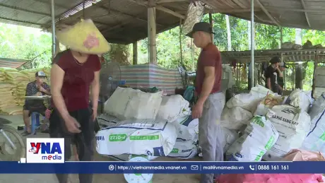 Khơi dậy tiềm năng phát triển sau sáp nhập