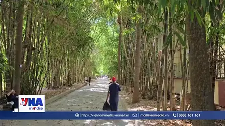 Rì rào tiếng tre Việt Nam giữa lòng thủ đô Bắc Phi