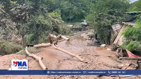 Lũ lụt ở Nghệ An và hoạt động cứu trợ