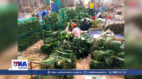 Việt Nam thu hàng chục triệu USD từ xuất khẩu hoa và lá cây