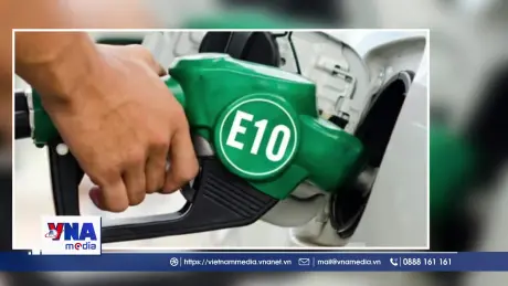 Từ 1/8, thí điểm bán xăng sinh học E10 tại Hà Nội, TP.HCM và Hải Phòng
