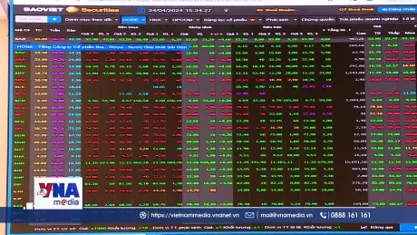 VN-Index lập đỉnh trong ngày kỷ niệm 25 năm thị trường chứng khoán
