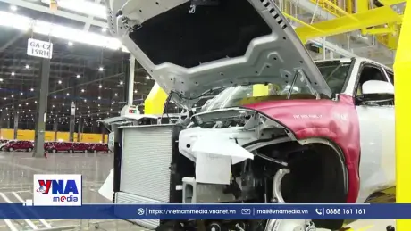 Những loại xe gầm cao được ưa chuộng nhất tại Việt Nam 