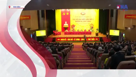 S Việt Nam ngày 29/07/2025