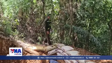 Quảng Trị xử lý dứt điểm các hầm vàng trái phép