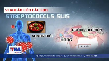 Mê tiết canh - xem clip này rồi hãy ăn!