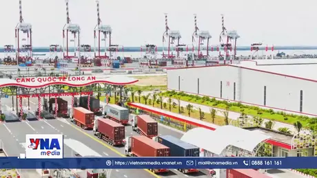 Cảng Quốc tế Long An hợp tác với cụm cảng và hãng tàu của Trung Quốc