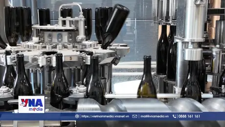 EU nỗ lực bảo vệ ngành rượu trước thuế quan của Mỹ