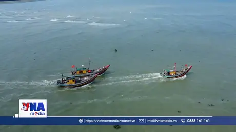 Kiên quyết xử lý vi phạm các tàu cá, hướng tới gỡ “thẻ vàng” IUU
