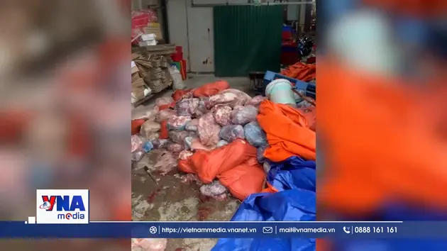 Phát hiện gần 5 tấn thịt lợn bốc mùi, không rõ nguồn gốc