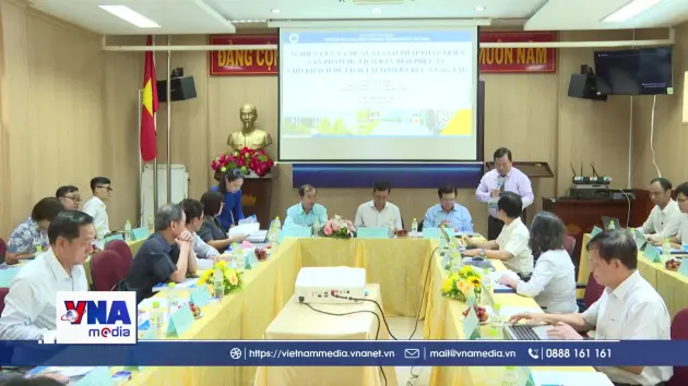 Tìm hướng đi cho phát triển du lịch đêm tại Bà Rịa-Vũng Tàu