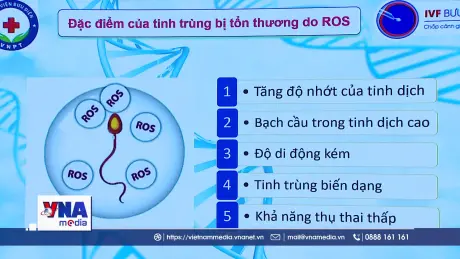 Khi y học mở đường cho những phôi thai khỏe mạnh