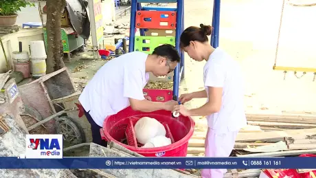 Hà nội tiềm ẩn các ổ dịch sốt xuất huyết tại cộng đồng