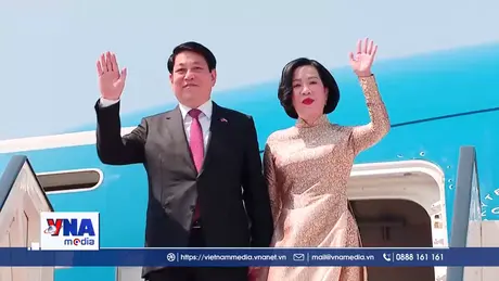Chủ tịch nước đến Cairo, bắt đầu chuyến thăm cấp Nhà nước Cộng hoà Ai Cập