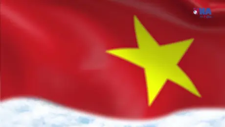 S Việt Nam ngày 3/8/2025