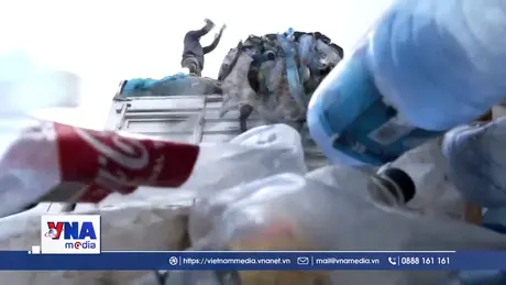 Ô nhiễm nhựa ảnh hưởng nghiêm trọng tới sức khỏe